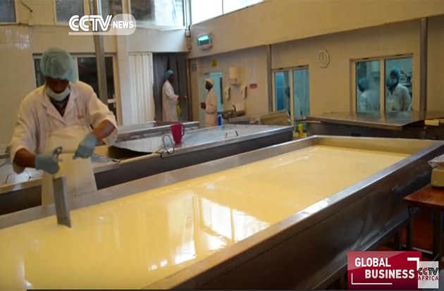 Locals in Kenya Boost Dairy Industry by Producing Cheese – CCTV (image)