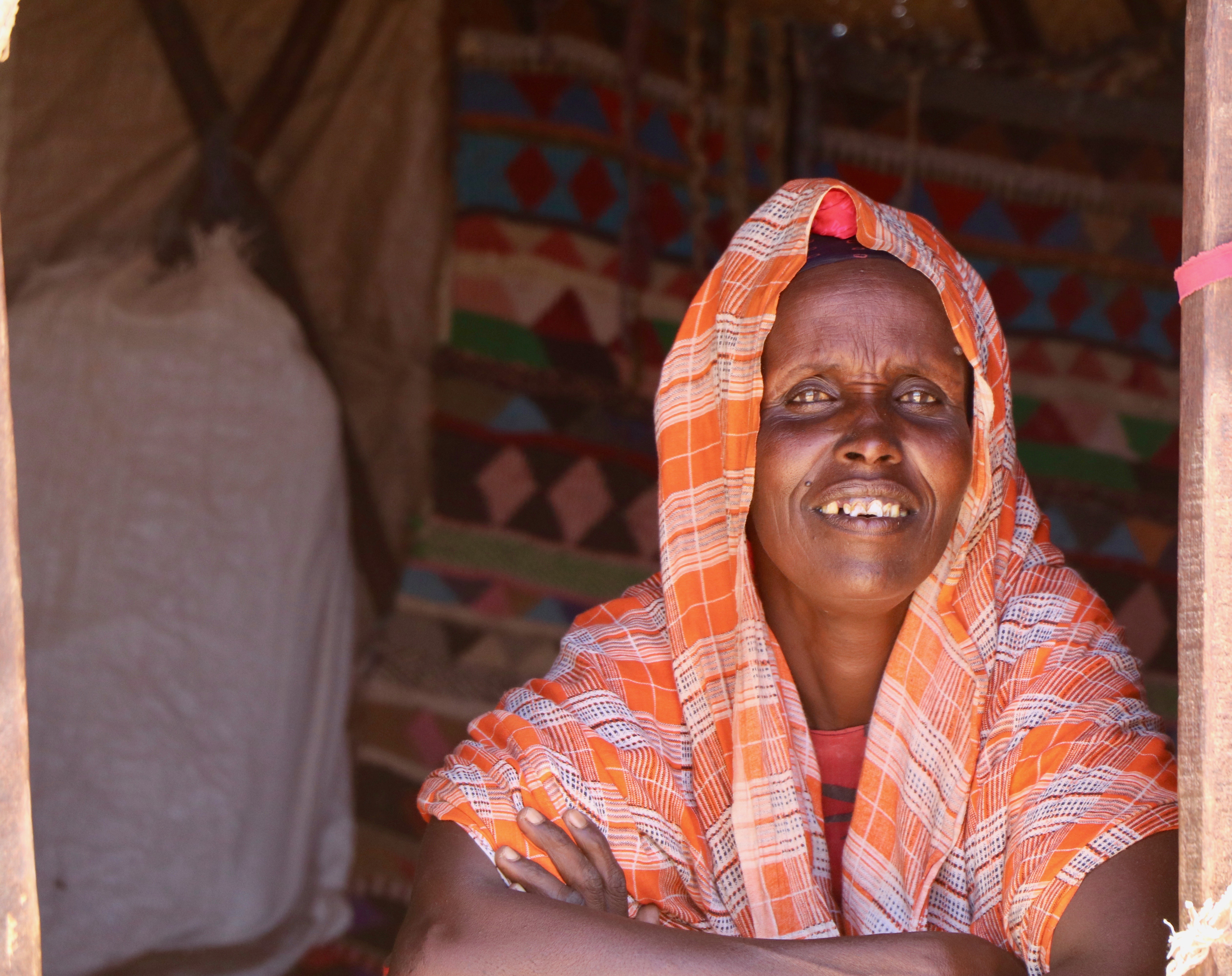 Pastoralists in Somalia’s Drought-Stricken Puntland Fight for Survival – Voice of America (image)