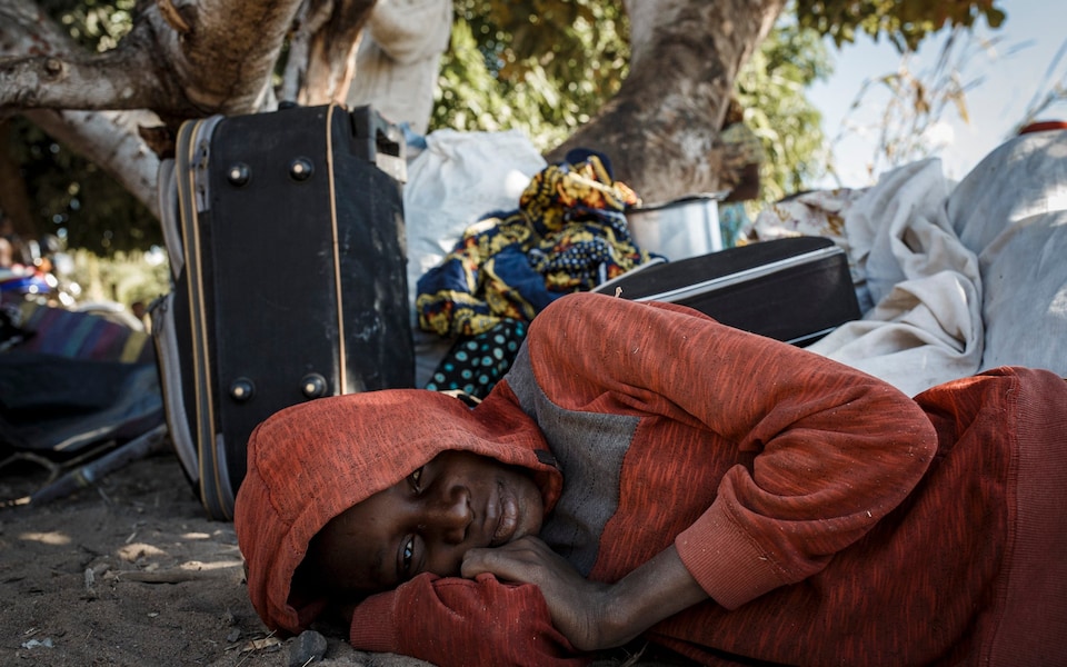 ‘Withering before your eyes’: conflict in Cabo Delgado scars a generation of children – The Telegraph (image)