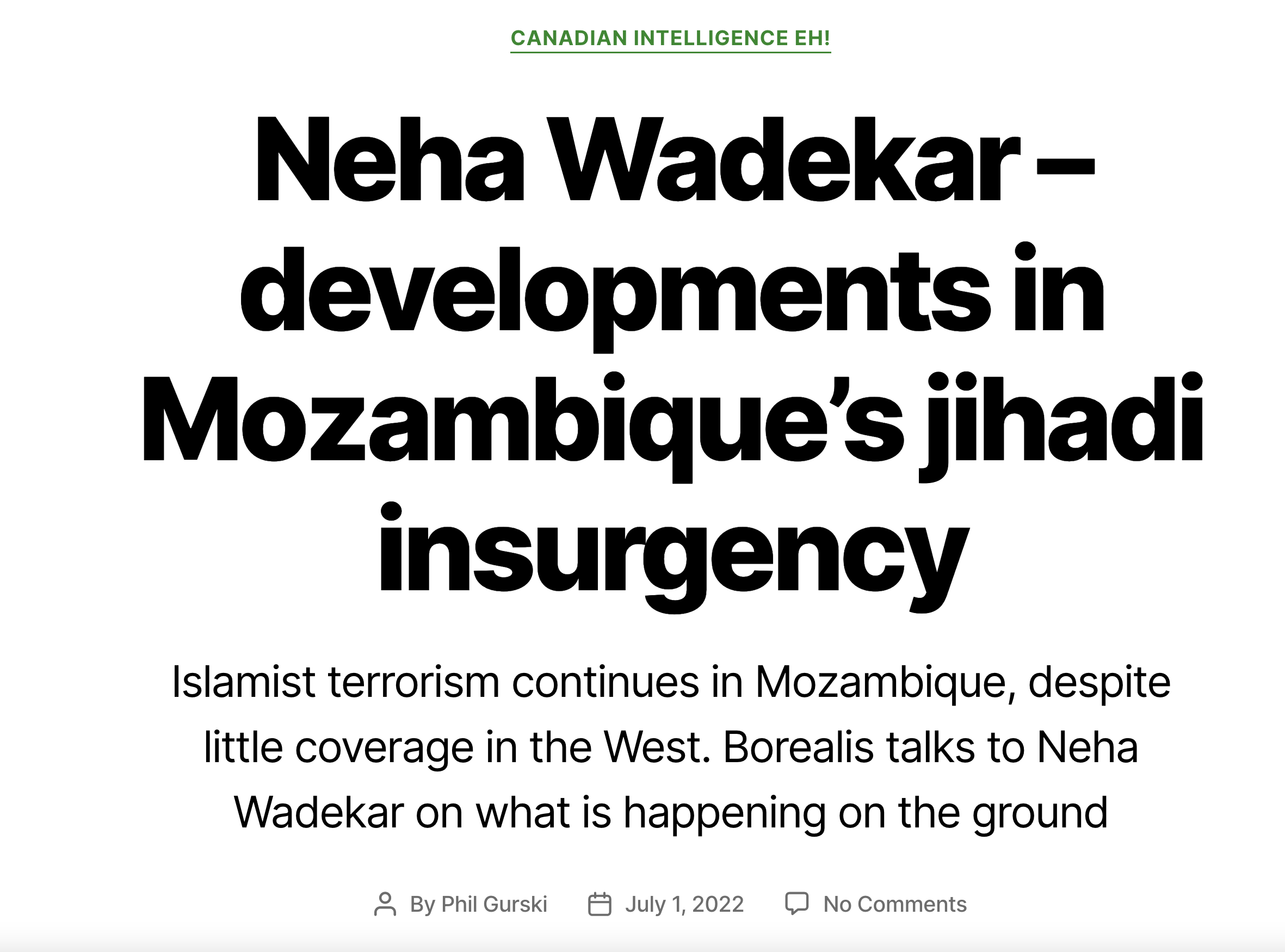 Neha Wadekar – developments in Mozambique’s jihadi insurgency – Canadian Intelligence Eh! (image)